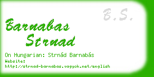 barnabas strnad business card